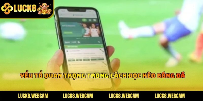 Những tiêu chí quan trọng giúp phân tích thực lực đội bóng trước khi đặt cược