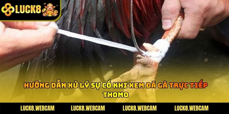Kỹ thuật viên đang thực hiện kiểm tra tín hiệu truyền tải dữ liệu trực tuyến