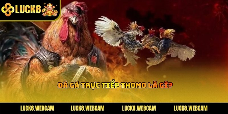 Thomo là trung tâm phát sóng trực tuyến sự kiện thể thao dân gian sôi động