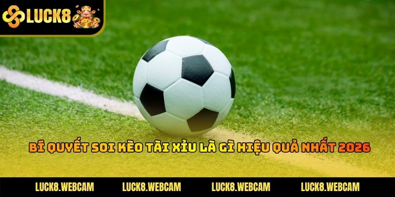 Các tiêu chí quan trọng cần phân tích khi thực hiện soi cầu tài xỉu