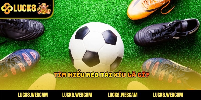 Tài xỉu là một dạng hình cá cược được yêu thương bậc nhất tại nhà cái