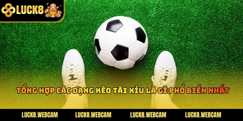 Bảng danh sách các mức tỷ lệ chấp tài xỉu thông dụng trong bóng đá