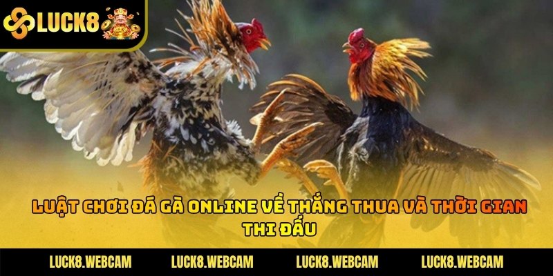 Trọng tài thực hiện kiểm tra tình trạng sức khỏe của chiến kê trước hiệp đấu