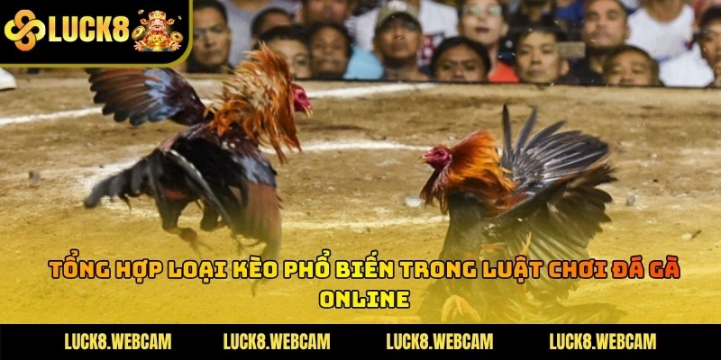 Bảng tỷ lệ kèo cược hiển thị rõ ràng thông tin của hai chiến kê thi đấu