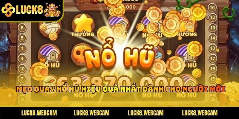 Các bước thiết lập mức cược thấp giúp người mới dễ dàng làm quen