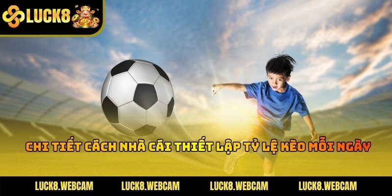 Quy trình xây dựng các con số tỷ lệ dựa trên dữ liệu phân tích chuyên sâu